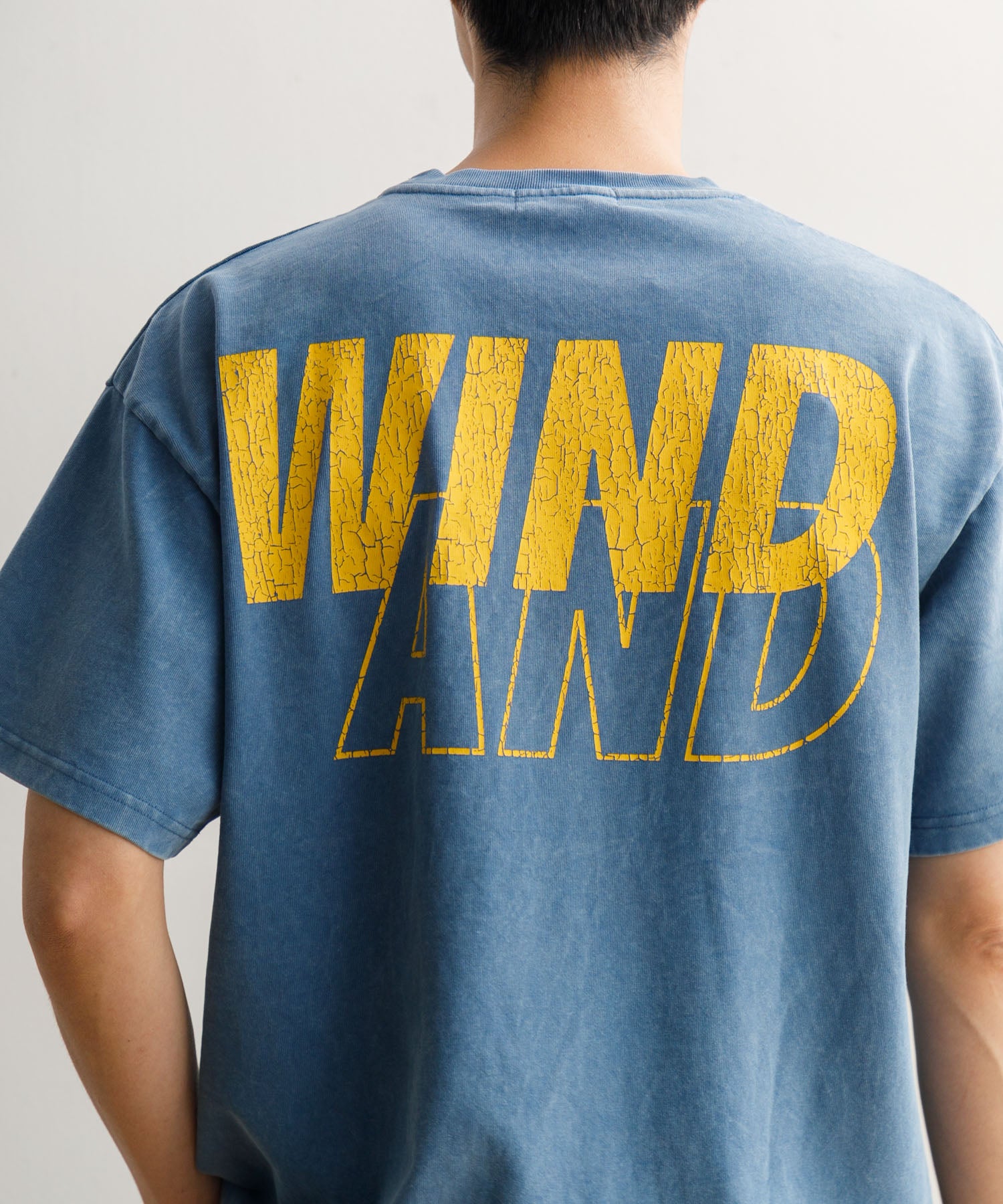 WIND AND SEA (CRACK-P-DYE) S/S Tee サイズL WIND AND SEA SEA (CRACK-P-DYE) S/S TEE – deviceone
