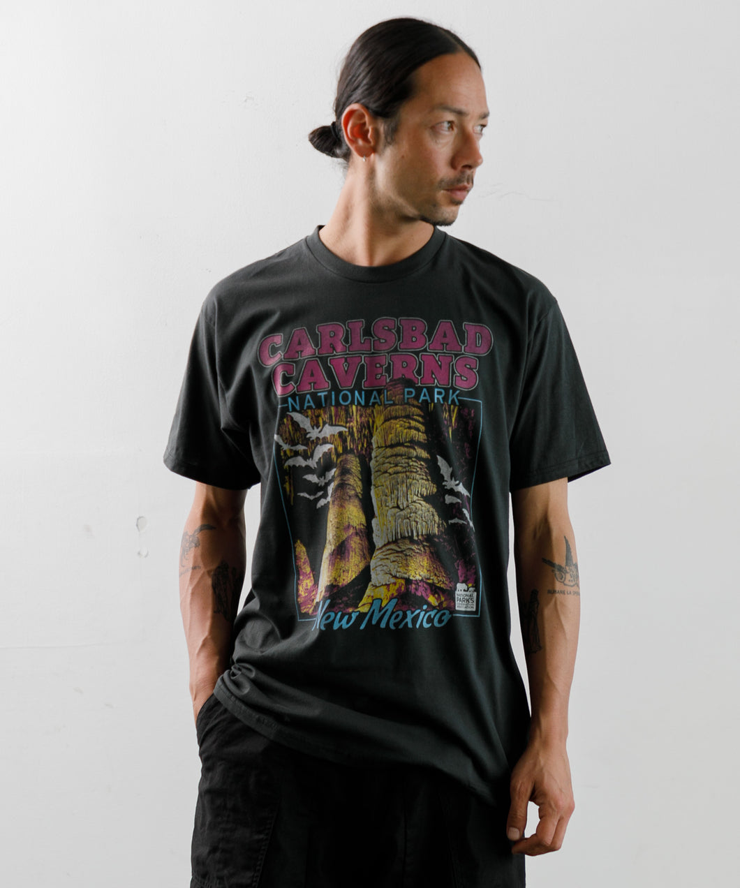 【MEN , WOMEN】SAWS US TEE NATIONAL PARKS CARLSBAD CAVERNS
