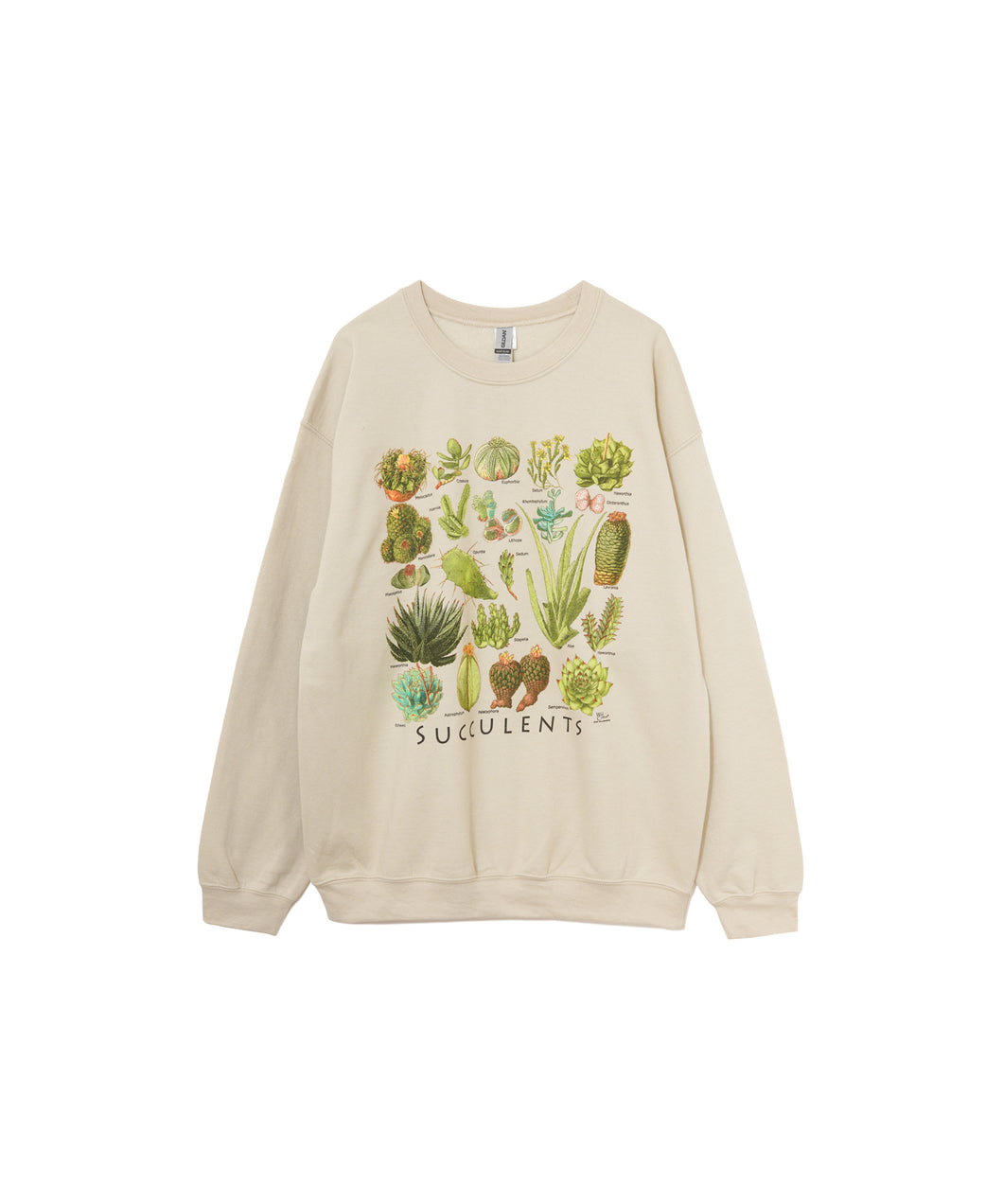 【MEN】ATLAS SCREEN PRINTING SUCCULENTSスウェット