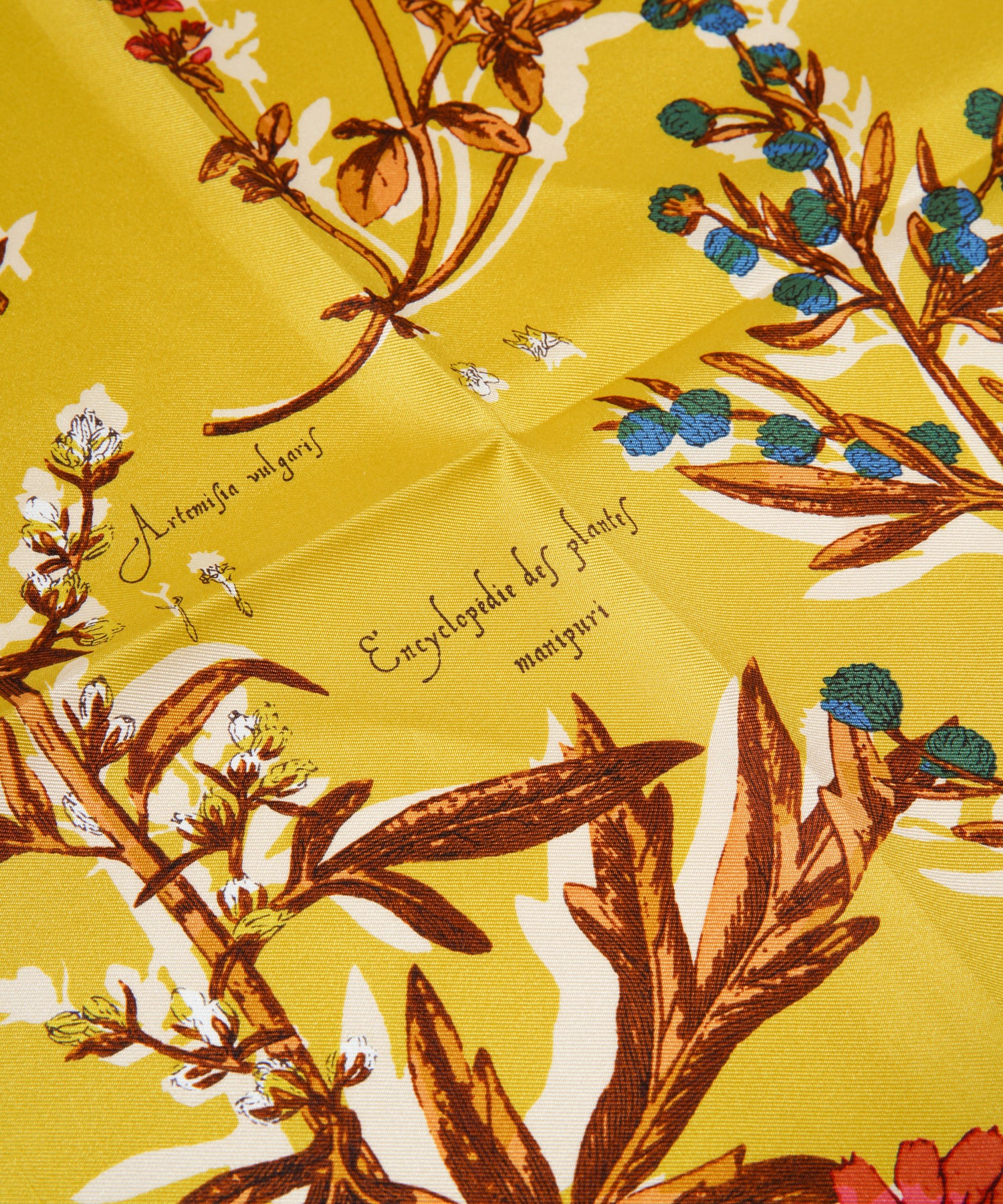 ジャングルキャンプ女子ヌード